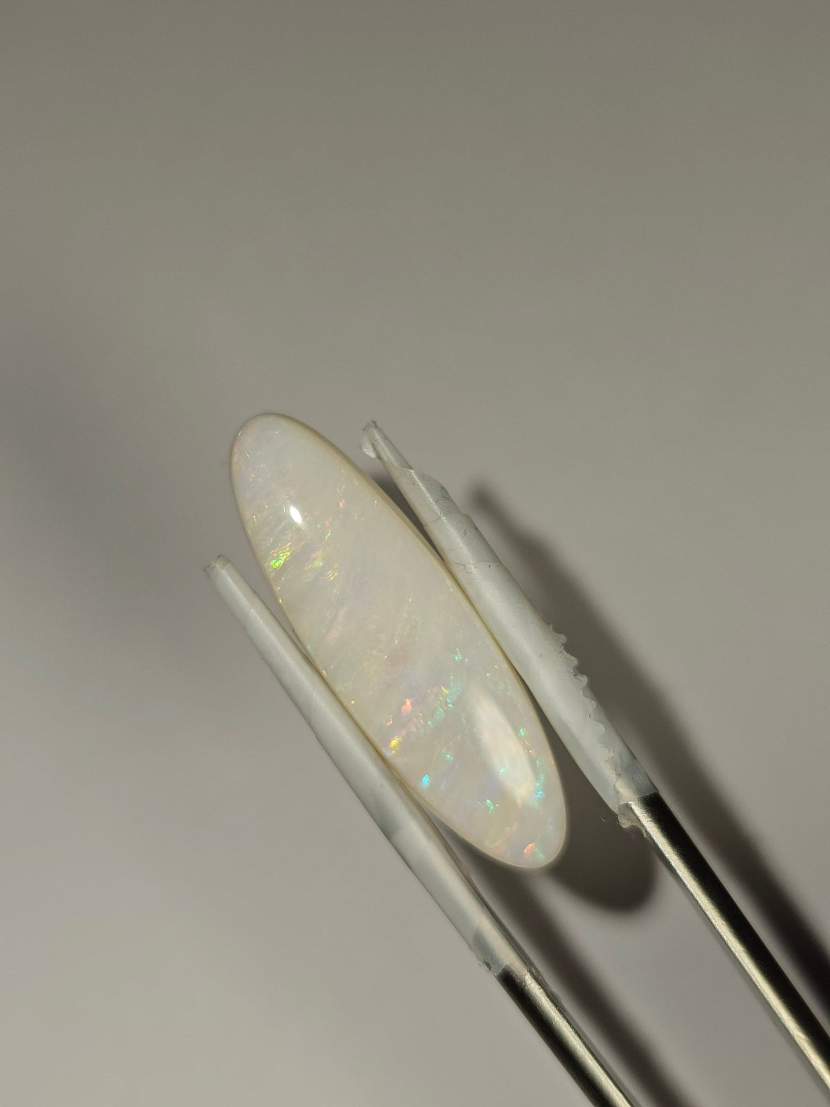LO004 Olympic Freeform 8.2ct - Luigi Opal