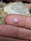 LO042 11 Mile Round .4ct - Luigi Opal