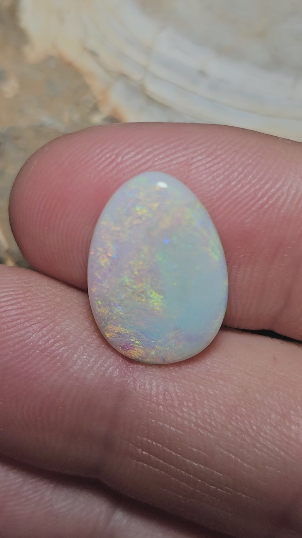 LO001 12 Mile 6ct Freeform
