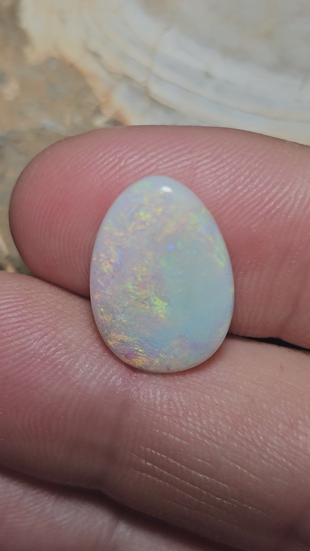 LO001 12 Mile 6ct Freeform