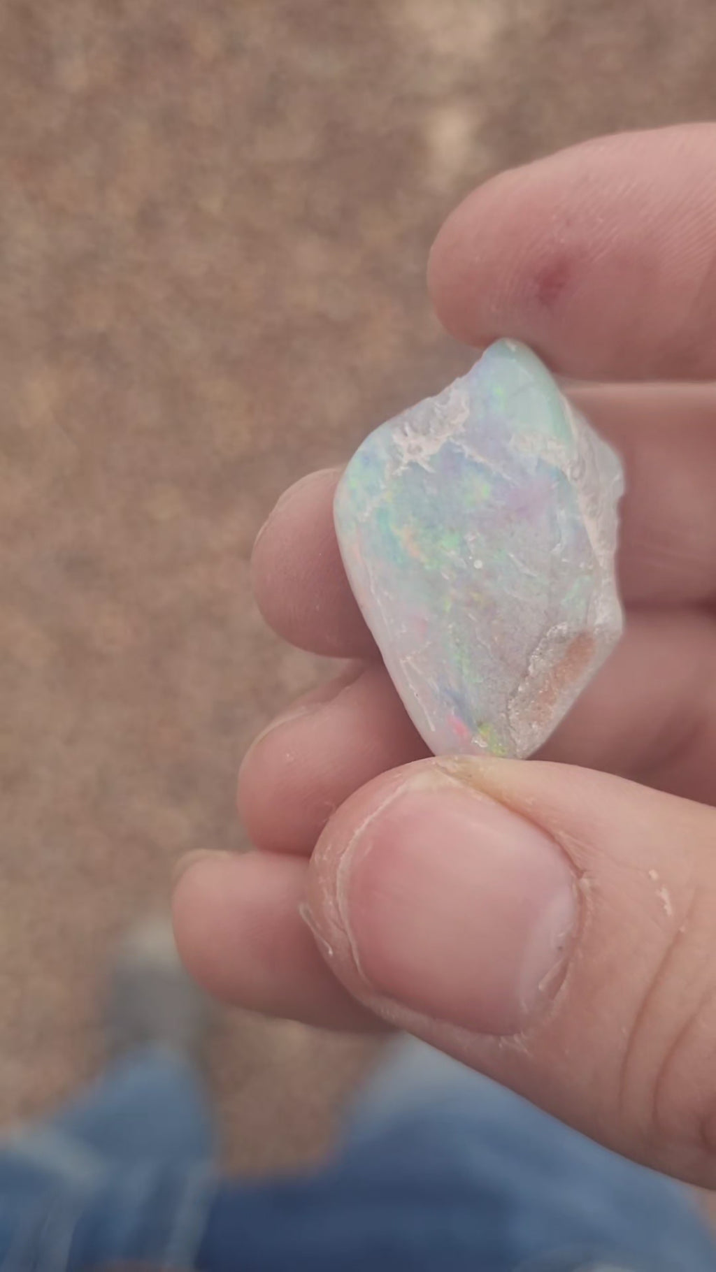 Opal Valley Opalized Skin Shell