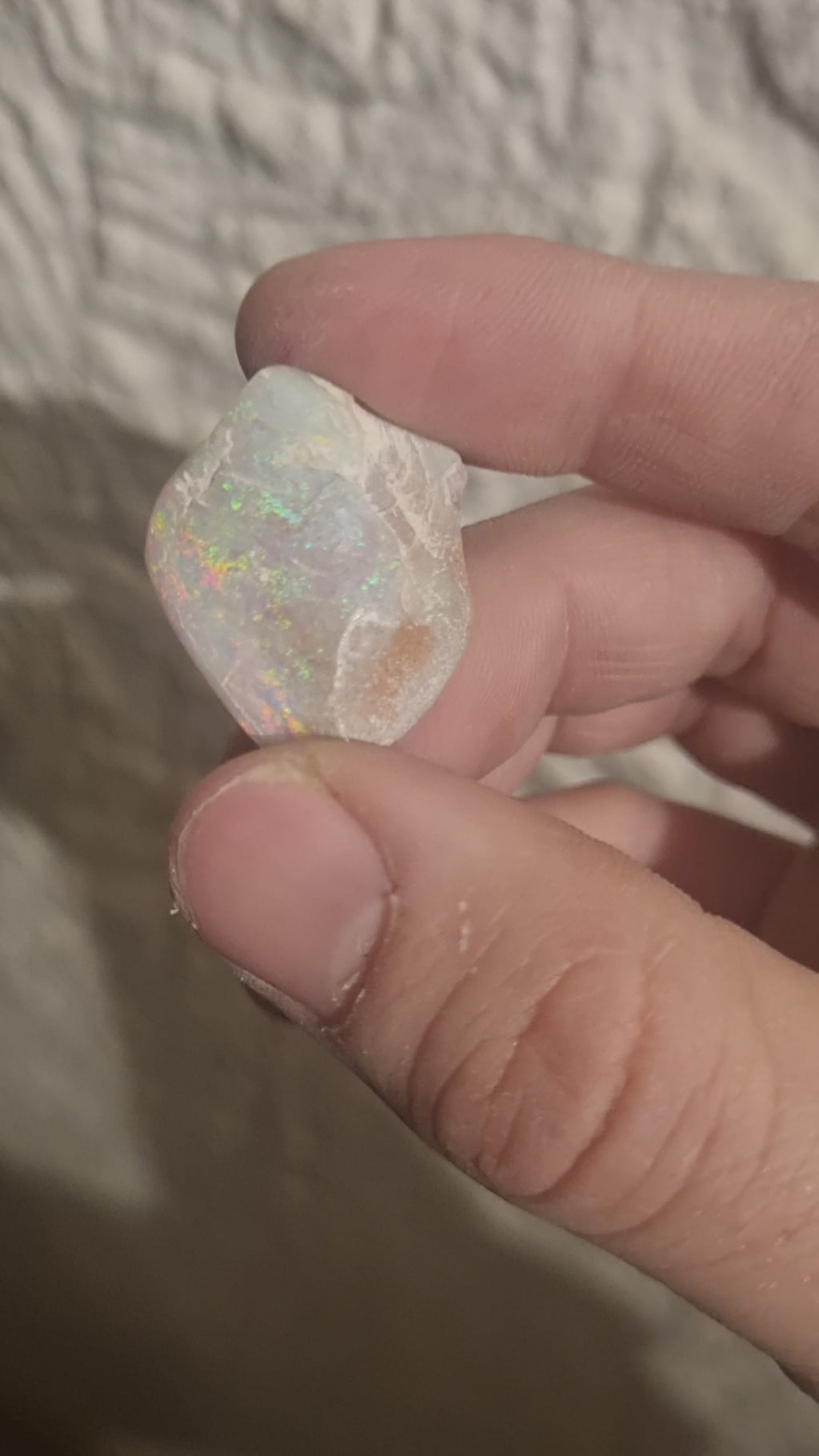 Opal Valley Opalized Skin Shell