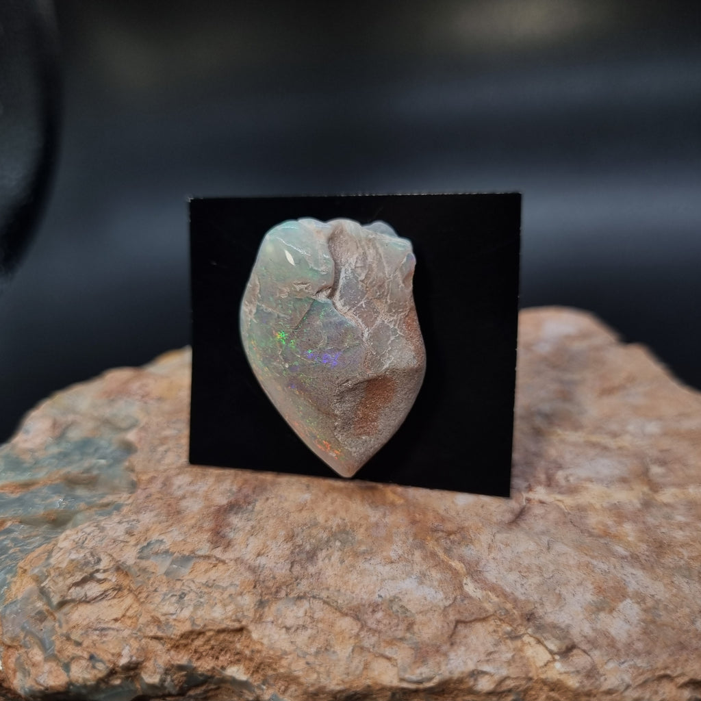 Opalised Shell Fossil Opal Valley