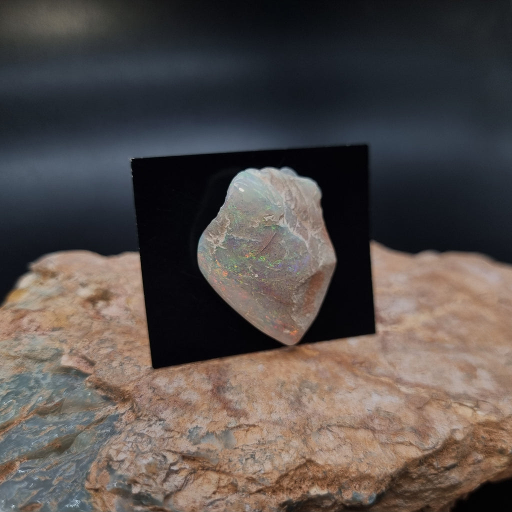 Opalised Shell Fossil Opal Valley