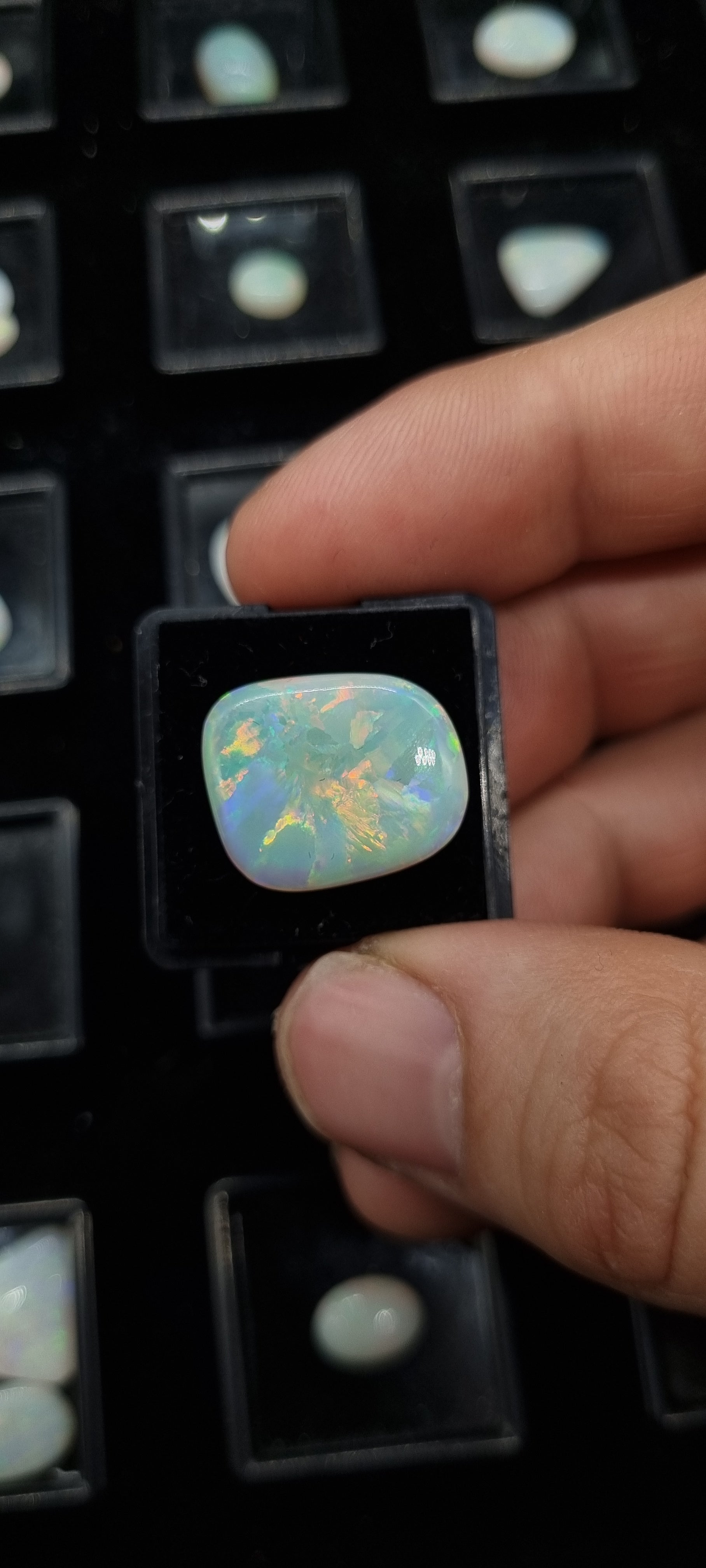 10ct Light/Semi Crystal Opal