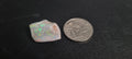 Opal Valley Opalized Skin Shell