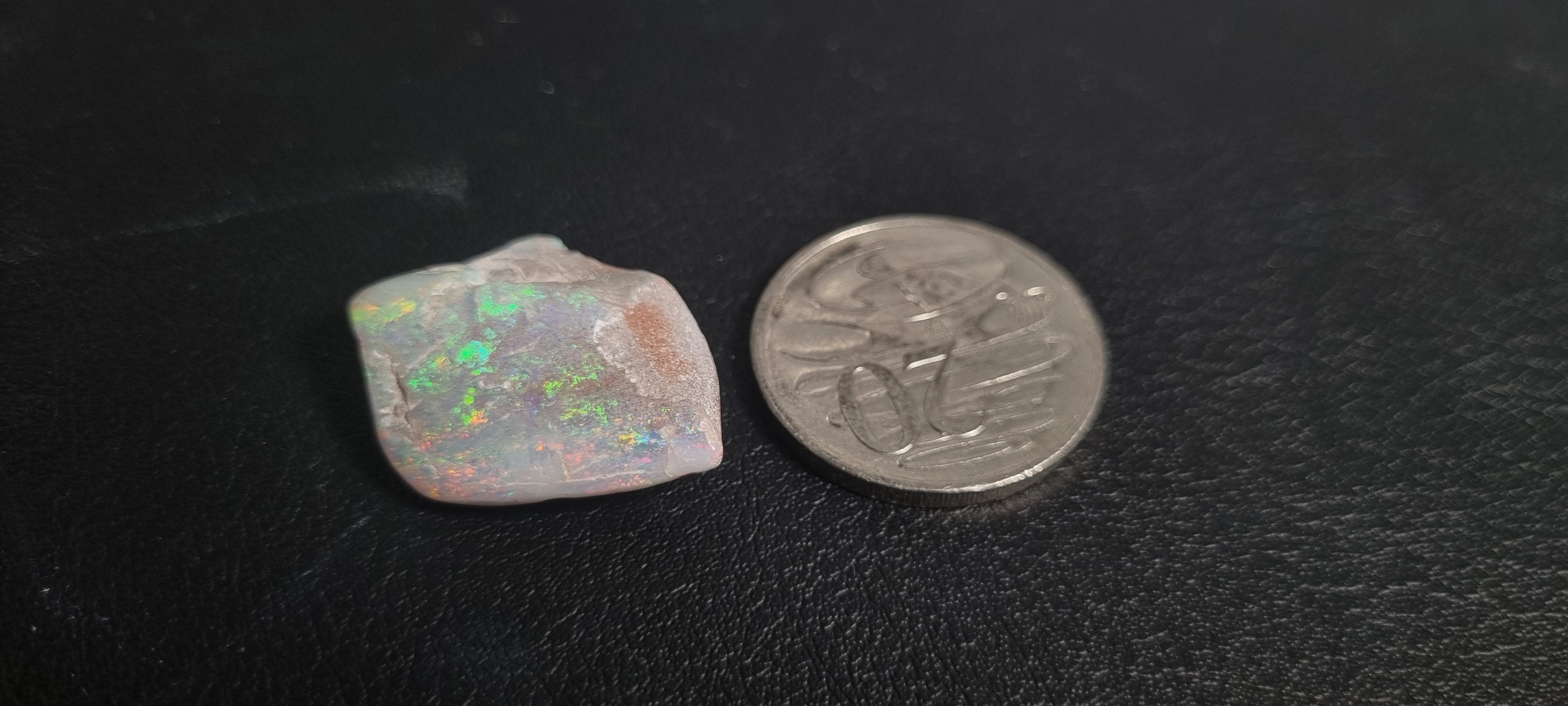 Opal Valley Opalized Skin Shell
