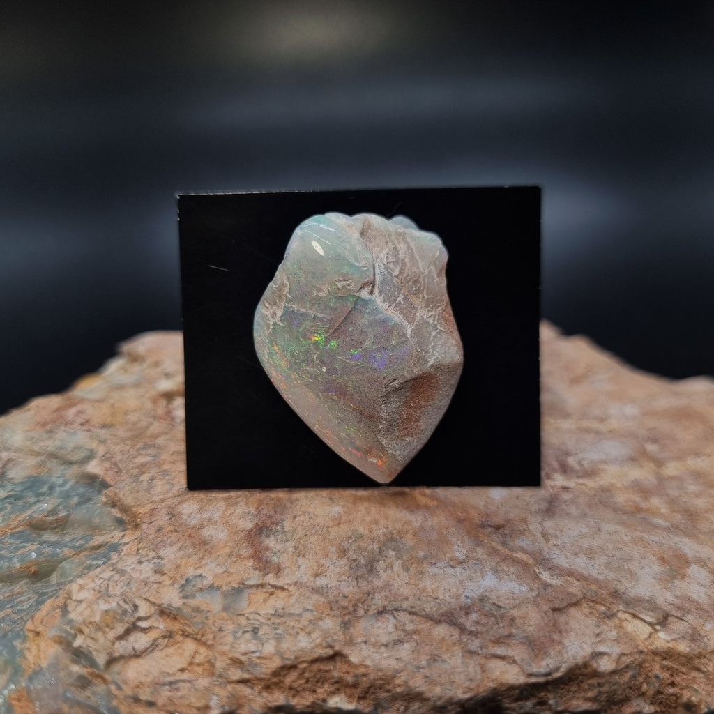 Opalised Shell Fossil Opal Valley